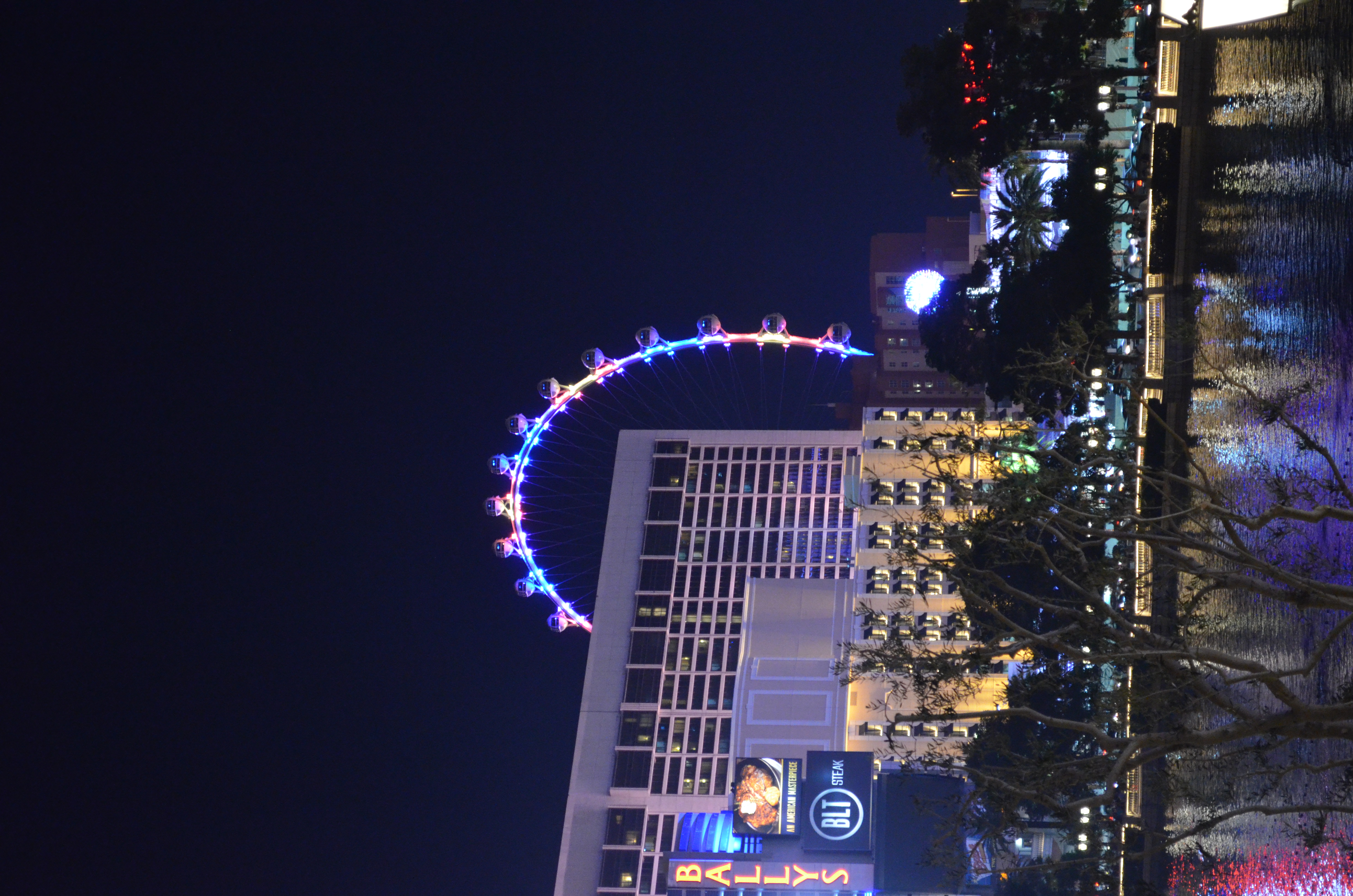 ./2016/04 - Las Vegas/Miscellaneous/DSC_0083.JPG